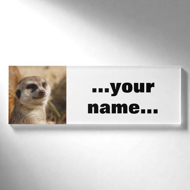 Meerkat 041 namenschild (Vorderseite)