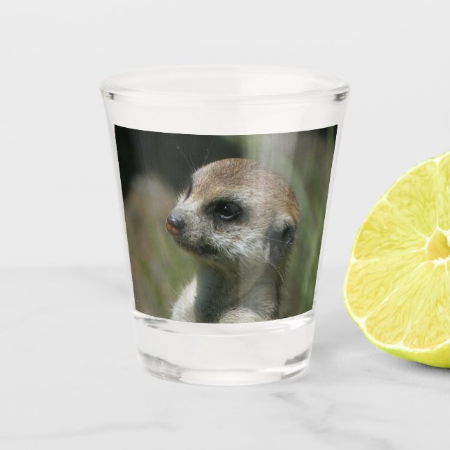 Meerkat 043 schnapsglas (Vorderseite)