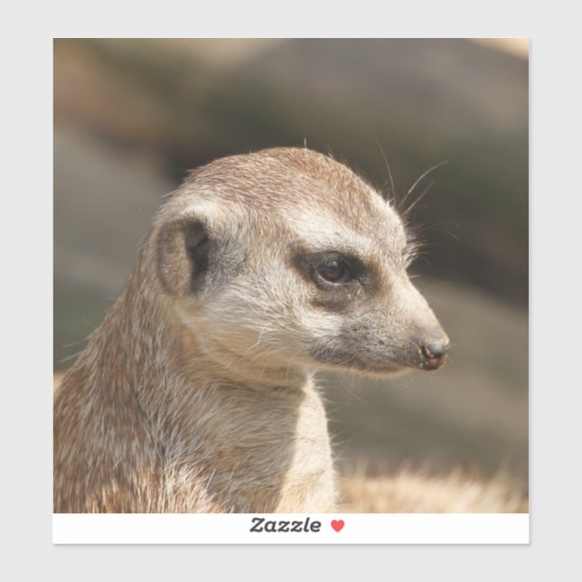 Meerkat 048 aufkleber (Blatt)