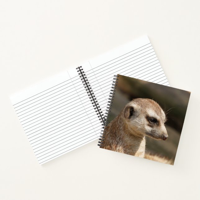Meerkat 048 notizbuch (Innenseite)
