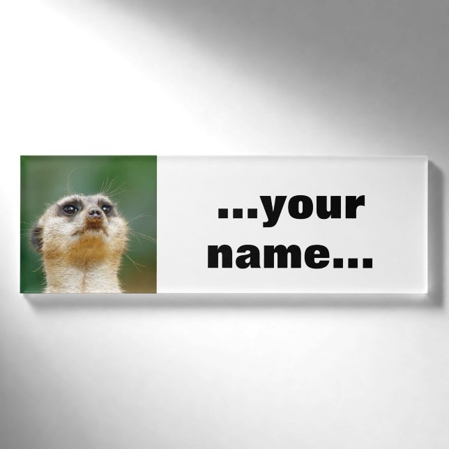 Meerkat 051 namenschild (Vorderseite)