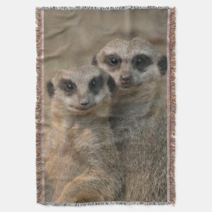 Meerkat 067 decke
