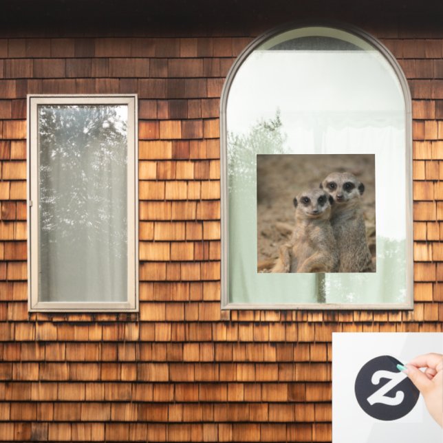 Meerkat 067 fensteraufkleber (Fenster Zuhause)