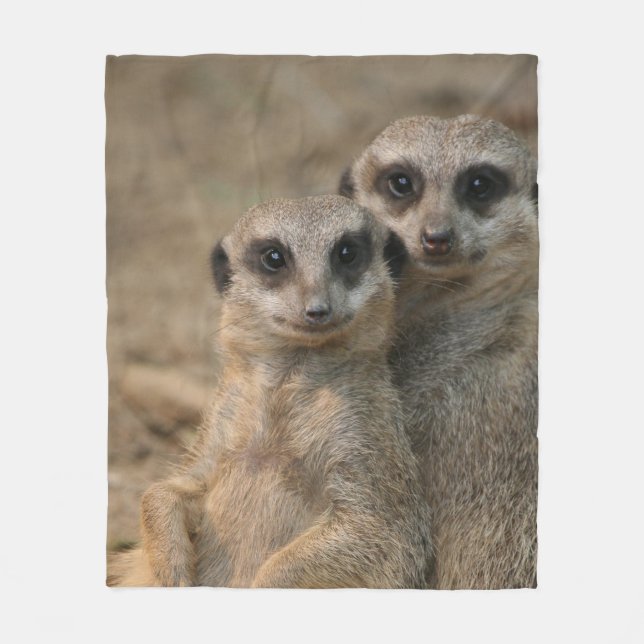 Meerkat 067 fleecedecke (Vorderseite)
