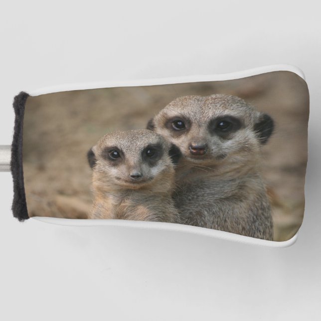 Meerkat 067 golf headcover (Vorderseite)