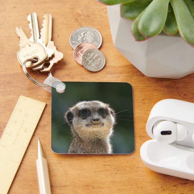 Meerkat 068 schlüsselanhänger (Schreibtisch)