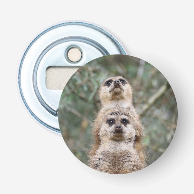 Meerkat 081 flaschenöffner (Vorderseite)