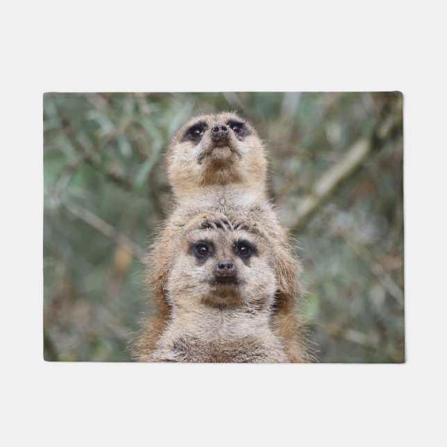 Meerkat 081 fußmatte (Vorderseite)