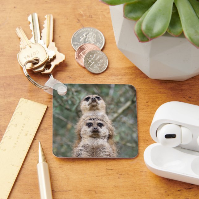 Meerkat 081 schlüsselanhänger (Schreibtisch)