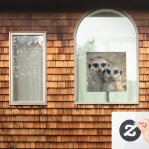 Meerkat 085 fensteraufkleber