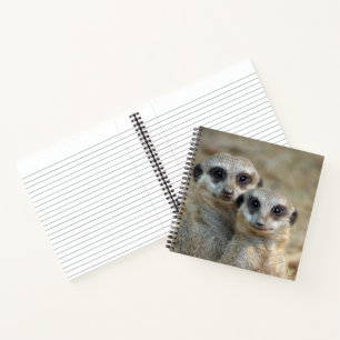 Meerkat 085 notizbuch