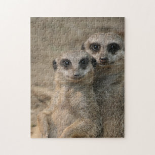 Meerkat 090