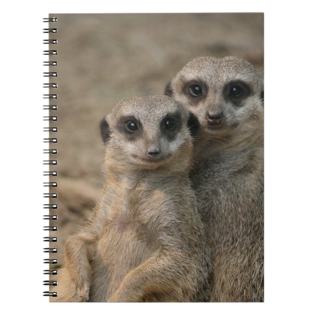 Meerkat 090 notizblock (Vorderseite)