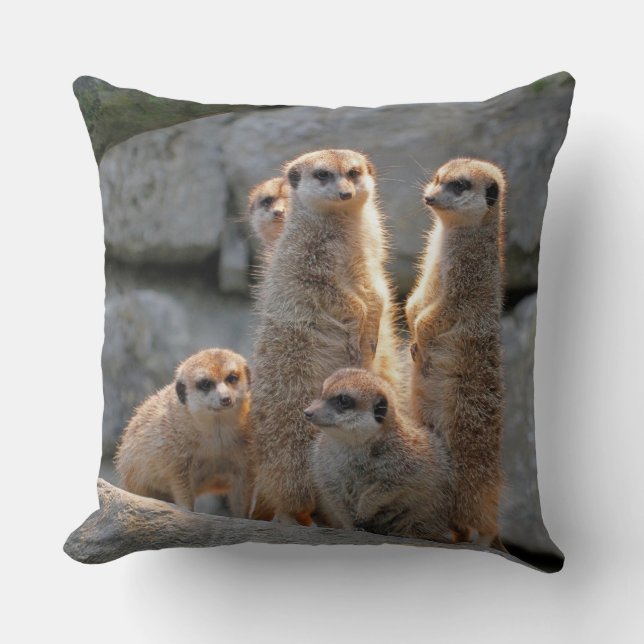 Meerkat 110 kissen (Vorderseite)