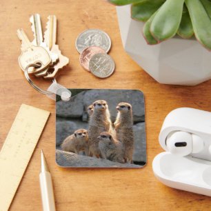 Meerkat 110 schlüsselanhänger