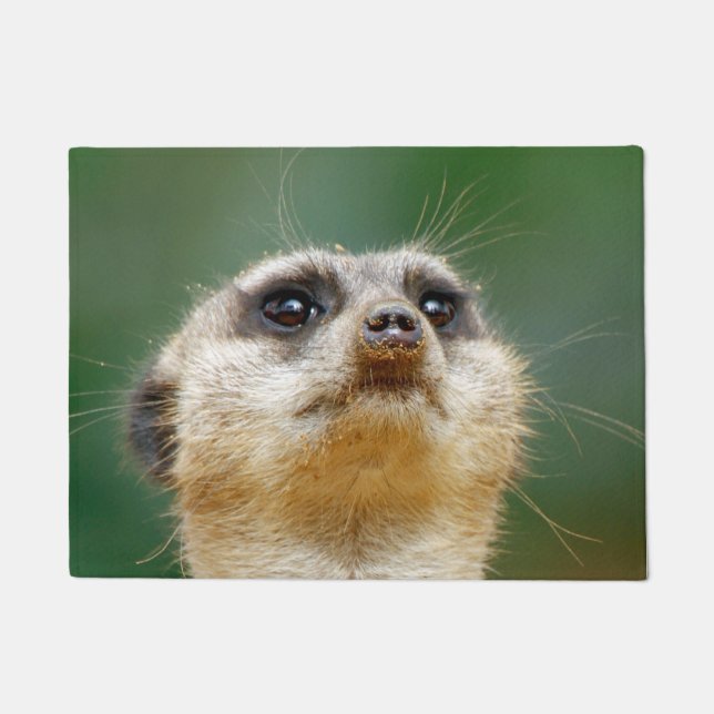 Meerkat 12 fußmatte (Vorderseite)
