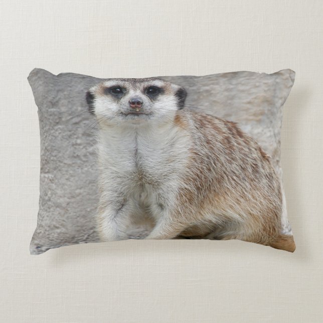 Meerkat 134 dekokissen (Vorderseite)