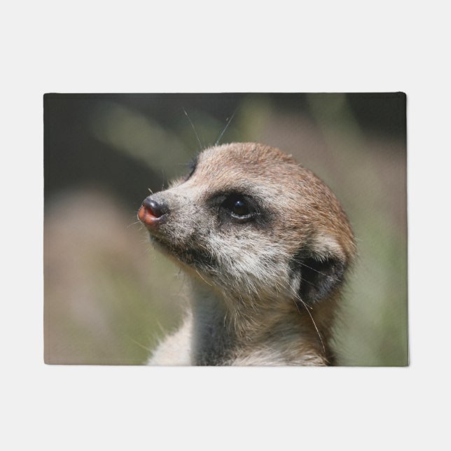 Meerkat 14 fußmatte (Vorderseite)