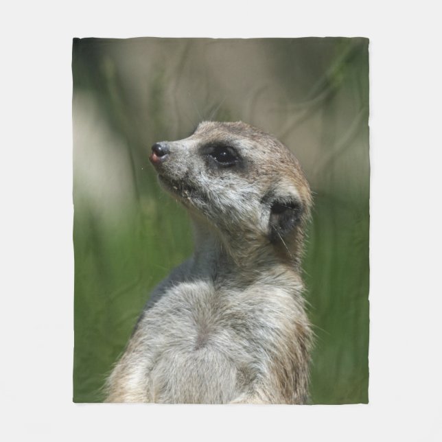 Meerkat 15 fleecedecke (Vorderseite)