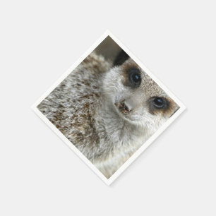 meerkat-16.jpg serviette