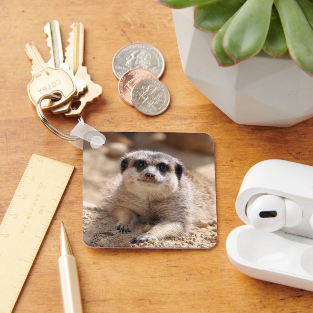 Meerkat 174 schlüsselanhänger (Schreibtisch)