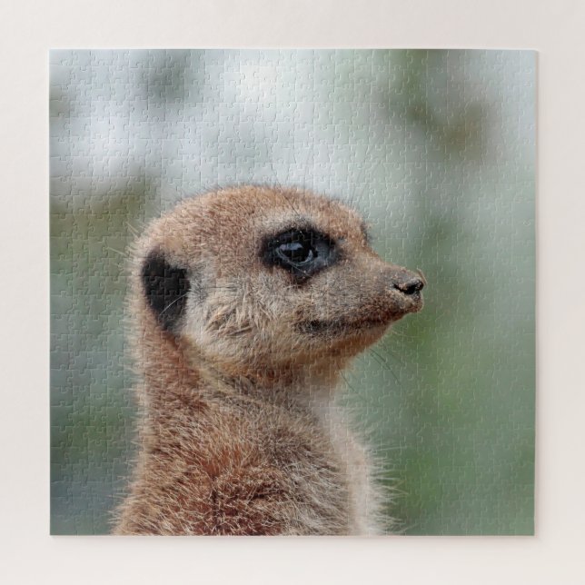 Meerkat 180 (Vertikal)