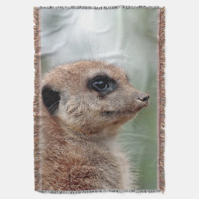 Meerkat 180 decke (Vorderseite Vertikal)