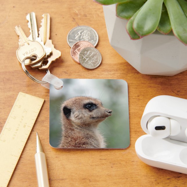 Meerkat 180 schlüsselanhänger (Schreibtisch)