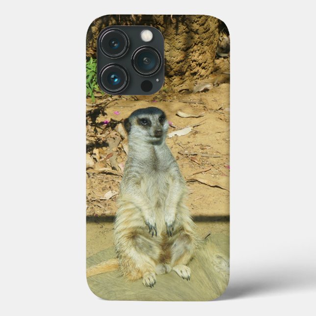 Meerkat #1 iPhone 13 Pro Coque (Verso)