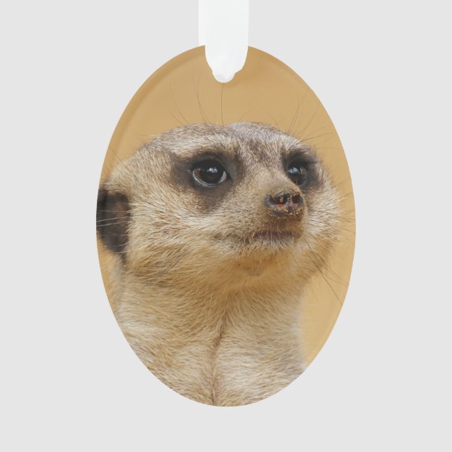 Meerkat 2014-1101 ornament (Vorderseite)
