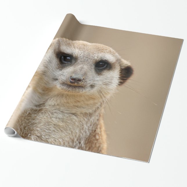 Meerkat_2015_0211 Geschenkpapier (Ungerollt)