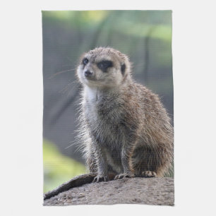Meerkat_20171101_by_JAMFoto Geschirrtuch