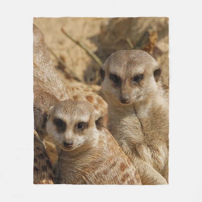 Meerkat 39 fleecedecke (Vorderseite)