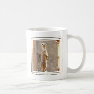 Meerkat à la tasse de café d'attention