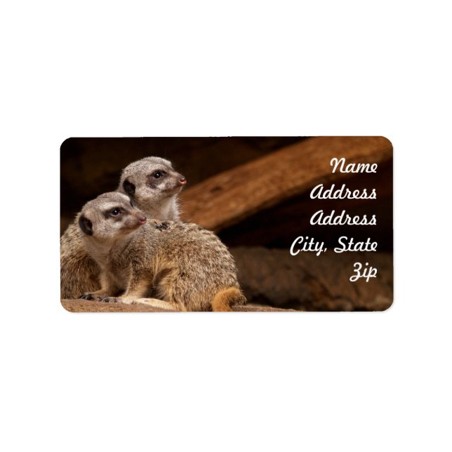 Meerkat Address Sticker Adressaufkleber (Vorne)