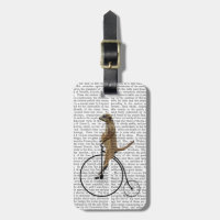 Meerkat auf Black Penny Farthing