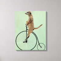 Meerkat auf Black Penny Farthing
