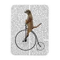 Meerkat auf Black Penny Farthing