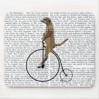 Meerkat auf Black Penny Farthing