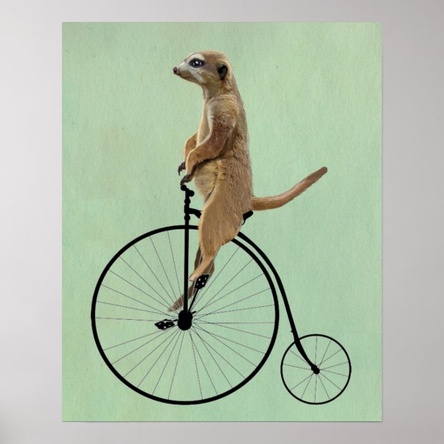 Meerkat auf Black Penny Farthing Poster (Vorne)