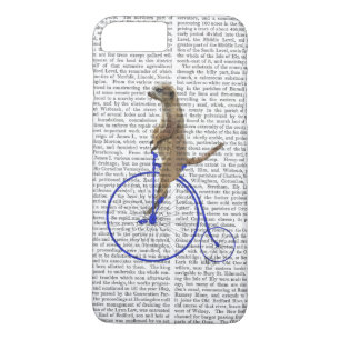 Meerkat auf blauem Penny-Farthing title_seo2