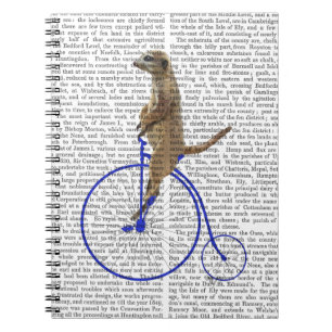 Meerkat auf blauem Penny-Farthing Notizblock