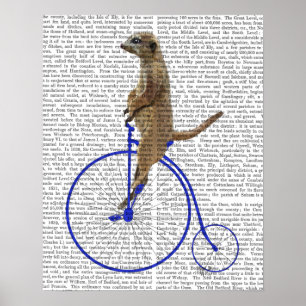 Meerkat auf blauem Penny-Farthing Poster