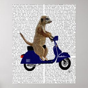 Meerkat auf Dark Blue Moped Poster