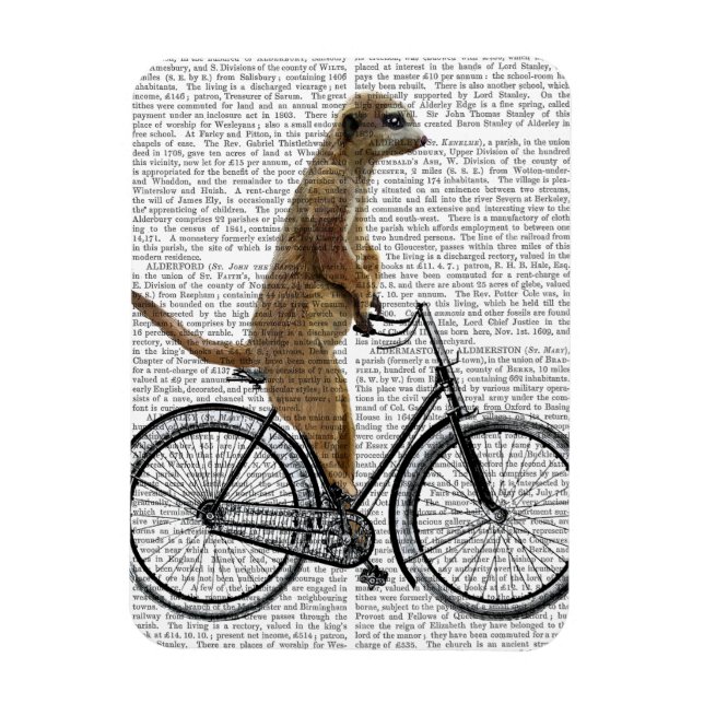 Meerkat auf dem Fahrrad Magnet (Vertikal)
