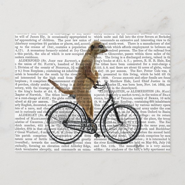 Meerkat auf dem Fahrrad Postkarte (Vorderseite)