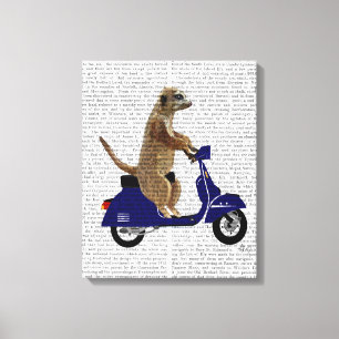 Meerkat auf dunkelblauem Moped Leinwanddruck