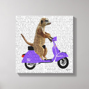 Meerkat auf lila Moped Leinwanddruck