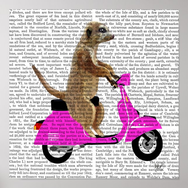 Meerkat auf rosa Moped Poster (Vorne)