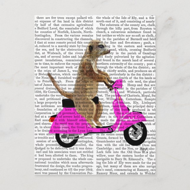 Meerkat auf rosa Moped Postkarte (Vorderseite)